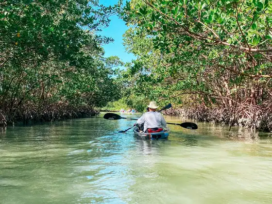 Un pagayeur avance dans un étroit canal d'eau claire sous une voûte d'arbres